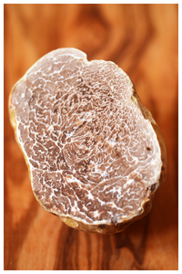 White Truffle knowledge: Why white truffles are expensive?