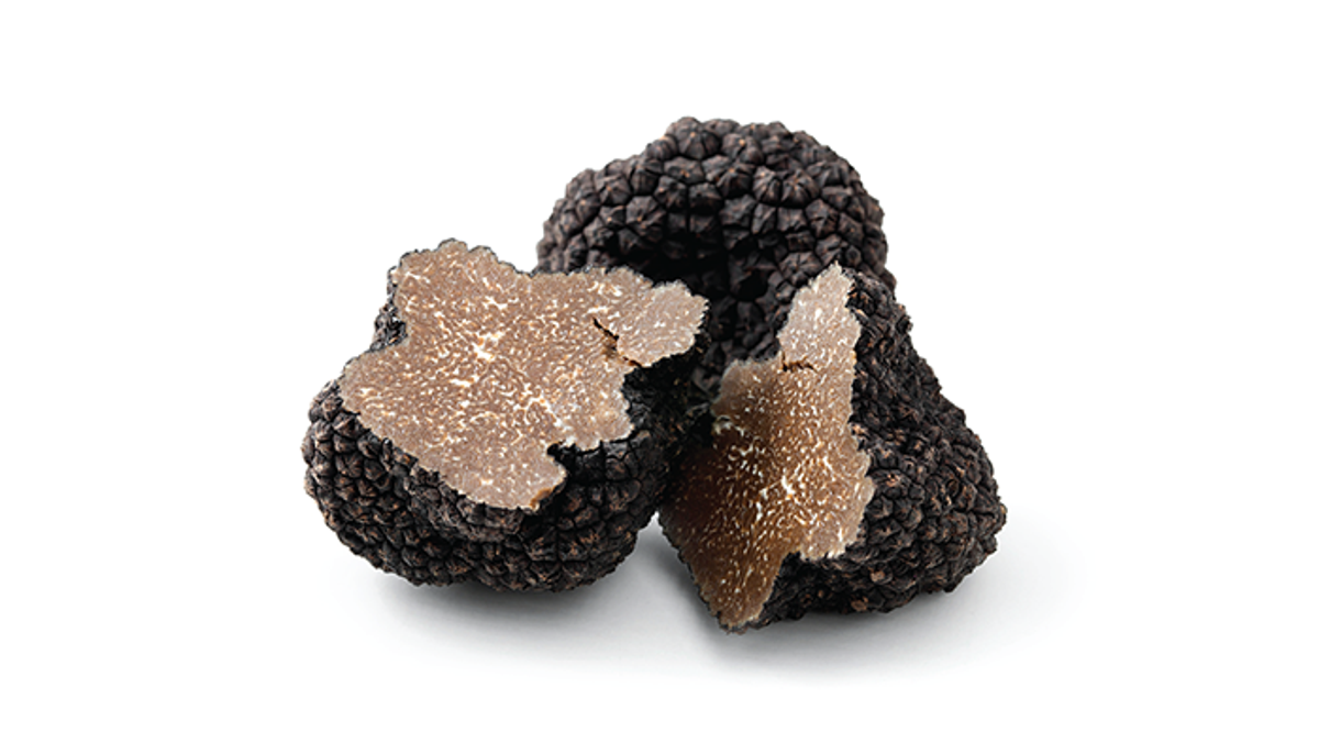A comprehensive guide to truffles